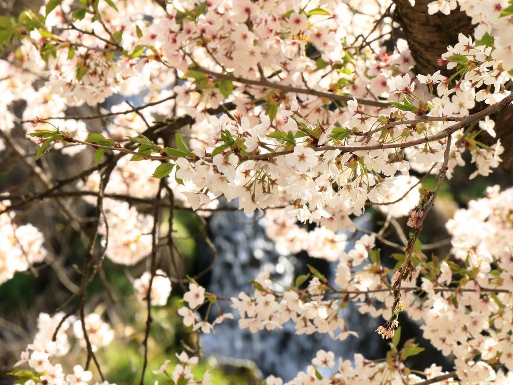 Yamatoya Hotel ยามาโนะอุจิ ภายนอก รูปภาพ